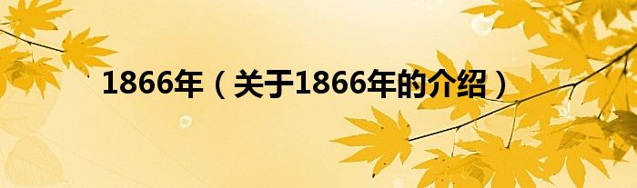 1866年（关于1866年的介绍）