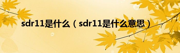 sdr11是什么（sdr11是什么意思）