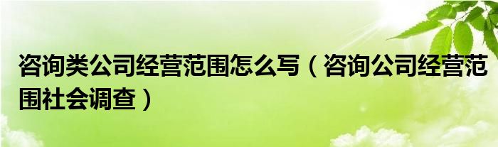 咨询类公司经营范围怎么写（咨询公司经营范围社会调查）