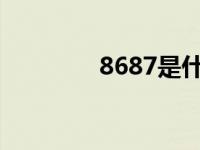 8687是什么意思（868舰）