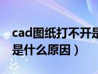 cad图纸打不开是什么问题（cad图纸打不开是什么原因）