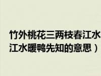 竹外桃花三两枝春江水暖鸭先知的图片（竹外桃花三两枝春江水暖鸭先知的意思）