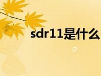 sdr11是什么（sdr11是什么意思）