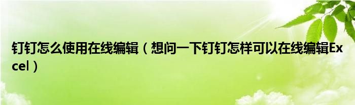 钉钉怎么使用在线编辑（想问一下钉钉怎样可以在线编辑Excel）