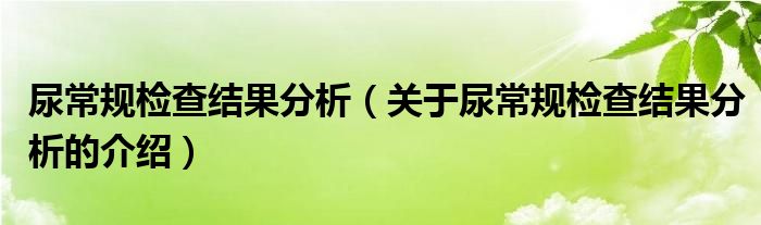 尿常规检查结果分析（关于尿常规检查结果分析的介绍）