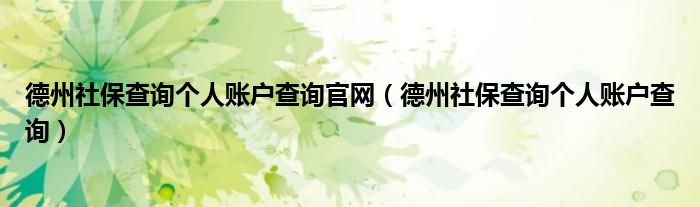 德州社保查询个人账户查询官网（德州社保查询个人账户查询）