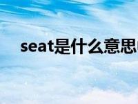 seat是什么意思中文（seat是什么意思）