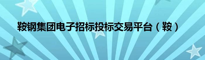 鞍钢集团电子招标投标交易平台（鞍）