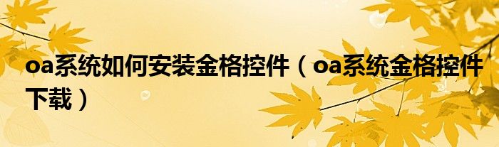 oa系统如何安装金格控件（oa系统金格控件下载）