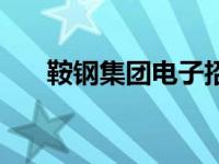 鞍钢集团电子招标投标交易平台（鞍）