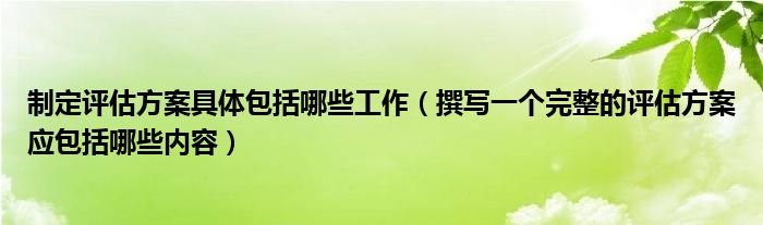 制定评估方案具体包括哪些工作（撰写一个完整的评估方案应包括哪些内容）