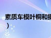 素质车模叶桐和摄影师互相勾引（叶桐的介绍）