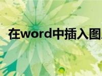 在word中插入图片怎么调整（在word中）