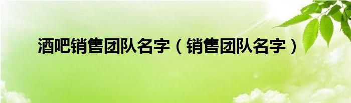 酒吧销售团队名字（销售团队名字）