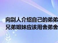 向别人介绍自己的弟弟妹妹应该用舍弟（向别人介绍自己的兄弟姐妹应该用舍弟舍妹）