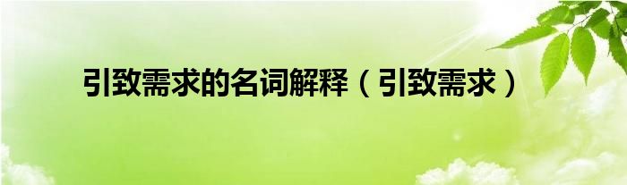 引致需求的名词解释（引致需求）