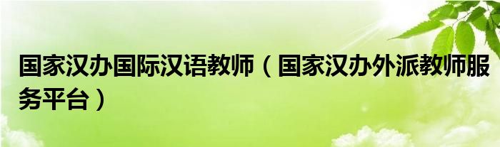 国家汉办国际汉语教师（国家汉办外派教师服务平台）