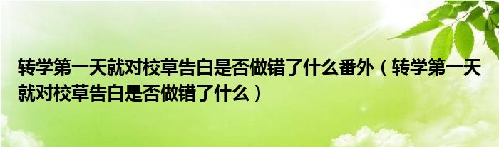 转学第一天就对校草告白是否做错了什么番外（转学第一天就对校草告白是否做错了什么）