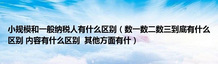 小规模和一般纳税人有什么区别（数一数二数三到底有什么区别 内容有什么区别  其他方面有什）