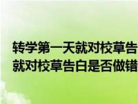 转学第一天就对校草告白是否做错了什么番外（转学第一天就对校草告白是否做错了什么）