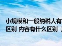 小规模和一般纳税人有什么区别（数一数二数三到底有什么区别 内容有什么区别  其他方面有什）