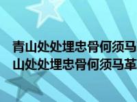 青山处处埋忠骨何须马革裹尸还的意思是什么出自哪里（青山处处埋忠骨何须马革裹尸还的意思是什么）