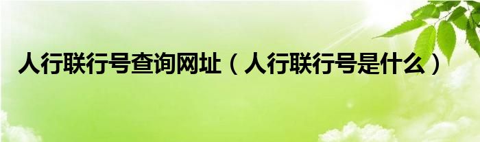 人行联行号查询网址（人行联行号是什么）