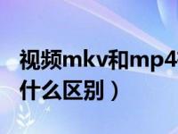 视频mkv和mp4有什么区别（mkv和mp4有什么区别）