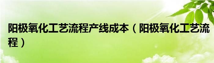 阳极氧化工艺流程产线成本（阳极氧化工艺流程）