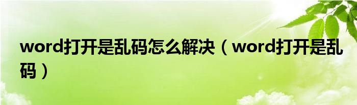 word打开是乱码怎么解决（word打开是乱码）