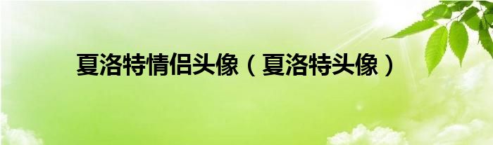 夏洛特情侣头像（夏洛特头像）