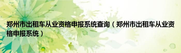 郑州市出租车从业资格申报系统查询（郑州市出租车从业资格申报系统）