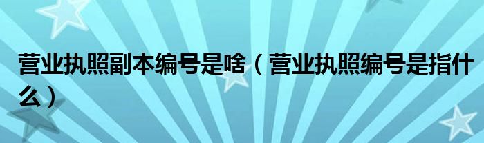 营业执照副本编号是啥（营业执照编号是指什么）