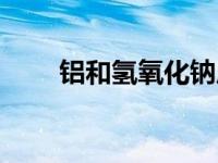 铝和氢氧化钠反应（铝和氢氧化钠）