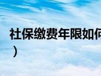 社保缴费年限如何查询（社保缴费年限新规定）