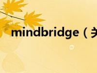 mindbridge（关于mindbridge的介绍）