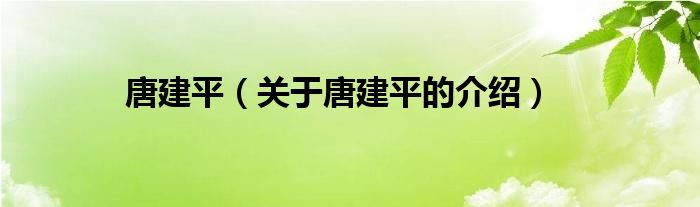 唐建平（关于唐建平的介绍）