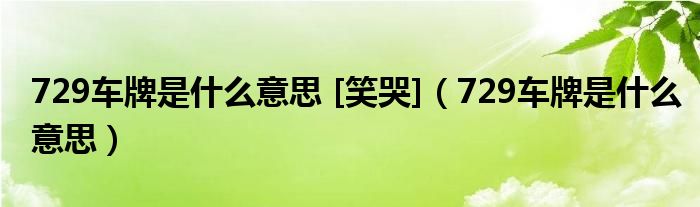 729车牌是什么意思 [笑哭]（729车牌是什么意思）