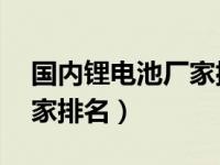 国内锂电池厂家排行榜50强（国内锂电池厂家排名）