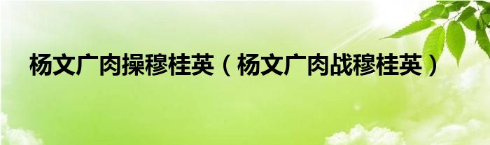 杨文广肉操穆桂英（杨文广肉战穆桂英）