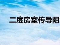 二度房室传导阻滞（二度房室传导阻滞）