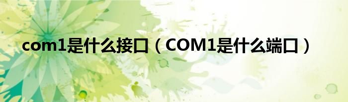 com1是什么接口（COM1是什么端口）