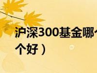 沪深300基金哪个好2021（沪深300基金哪个好）