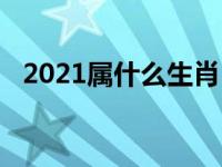 2021属什么生肖（2021年属什么生肖年）