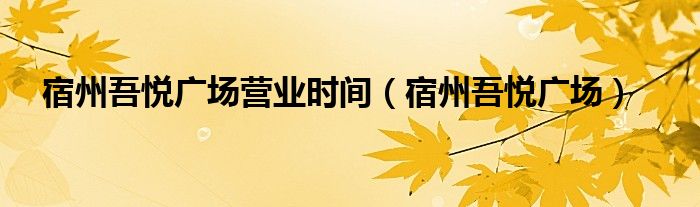 宿州吾悦广场营业时间（宿州吾悦广场）