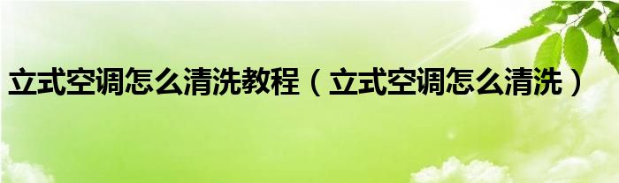 立式空调怎么清洗教程（立式空调怎么清洗）