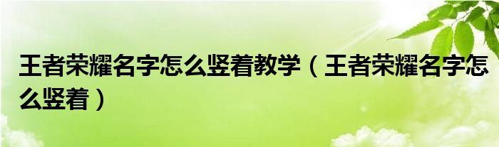 王者荣耀名字怎么竖着教学（王者荣耀名字怎么竖着）