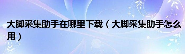 大脚采集助手在哪里下载（大脚采集助手怎么用）