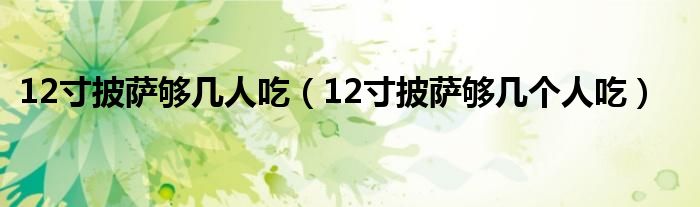 12寸披萨够几人吃（12寸披萨够几个人吃）