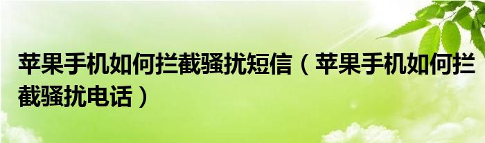 苹果手机如何拦截骚扰短信（苹果手机如何拦截骚扰电话）